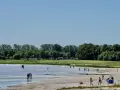 Menschen genießen einen sonnigen Tag am Greifswald Strand. Camper stehen im Hintergrund, während Kinder und Erwachsene im flachen Wasser planschen.