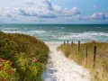 Sandiger Pfad zum **Grambin Strand**, gesäumt von Rosenbüschen und Dünen. Das Meer rauscht, Wolken ziehen am Himmel.