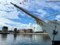 Die Gorch Fock in Stralsund, ein stolzes Segelschiff, liegt vor einer malerischen Kulisse mit historischen Gebäuden und moderner Architektur am Hafen.