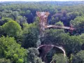Ein Baumwipfelpfad schlängelt sich durch den Ivenacker Tiergarten. Ein futuristischer Aussichtsturm ragt aus dem dichten Grün.