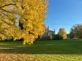 Herbstliche Farben umgeben das Schloss Broock. Ein Baum mit leuchtend gelben Blättern dominiert den Vordergrund, während im Hintergrund das imposante Gebäude vor blauem Himmel steht.