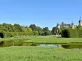Ein Reiher steht am Ufer eines Teichs im Schweriner Schlossgarten. Im Hintergrund thront das Schloss über grünen Bäumen.