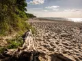 Ein sonniger Strand bei Barendorf an der Ostsee. Treibholz liegt im Sand, die Wellen glitzern.