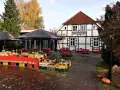 Herbstmarkt vor dem Heimatmuseum Zingst mit frischem Obst und Gemüse.