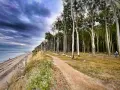 Ein Radfahrer genießt die Nienhagen Promenade entlang des Strandes und des Buchenwaldes.