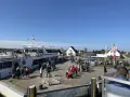 Menschen warten am Kai in Neuendorf auf Hiddensee auf die Fähre. Ein großes Ausflugsschiff liegt bereit.
