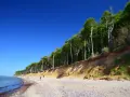 Der Strand Nienhagen mit seiner beeindruckenden Steilküste und dem dichten Buchenwald. Ein paar Spaziergänger genießen die klare Luft.