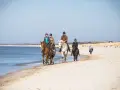 Vier Reiter genießen das Reiten an der Ostsee. Sie reiten am Strand entlang, das Meer glitzert im Hintergrund.