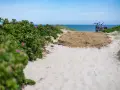 Sandiger Weg zum Dierhagen Strand, gesäumt von Rosenbüschen. Zwei Fahrräder warten am Meer.