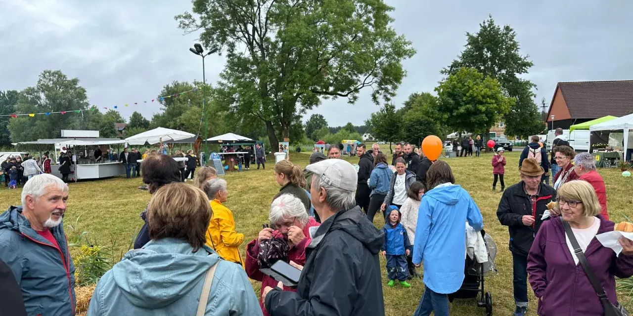 Menschen genießen das inselfest Mirow bei bewölktem Himmel. Stände und Bäume säumen die grüne Wiese.