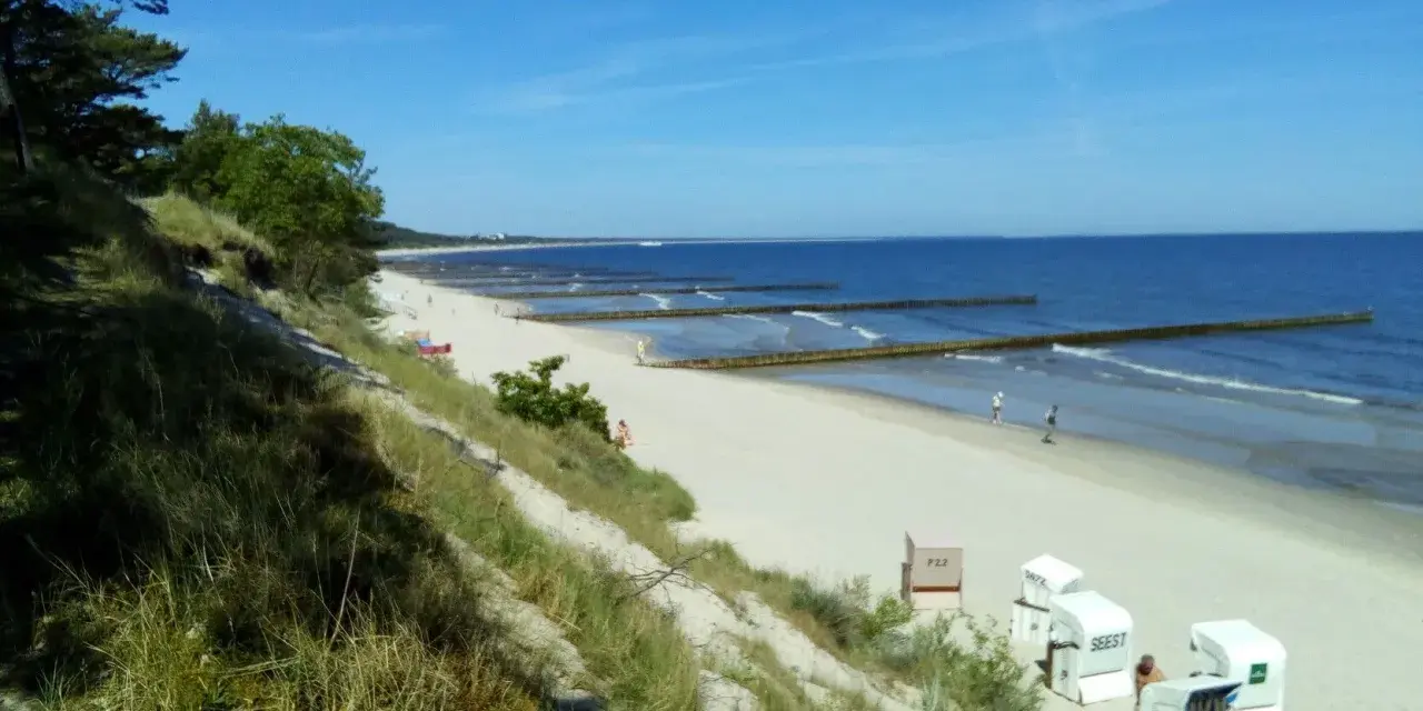 Sonniger Strand Zempin mit Dünen, Wellenbrechern und Strandkörben.