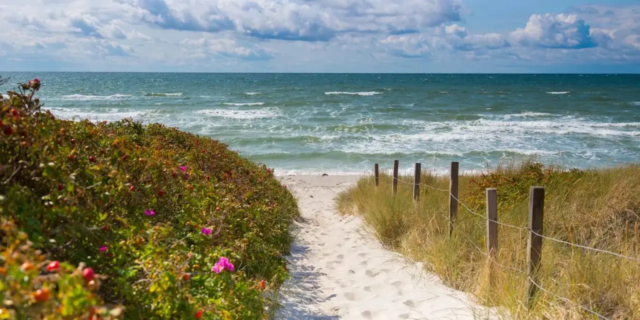 Sandiger Pfad zum **Grambin Strand**, gesäumt von Rosenbüschen und Dünen. Das Meer rauscht, Wolken ziehen am Himmel.