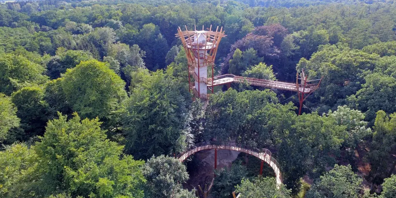 Ein Baumwipfelpfad schlängelt sich durch den Ivenacker Tiergarten. Ein futuristischer Aussichtsturm ragt aus dem dichten Grün.