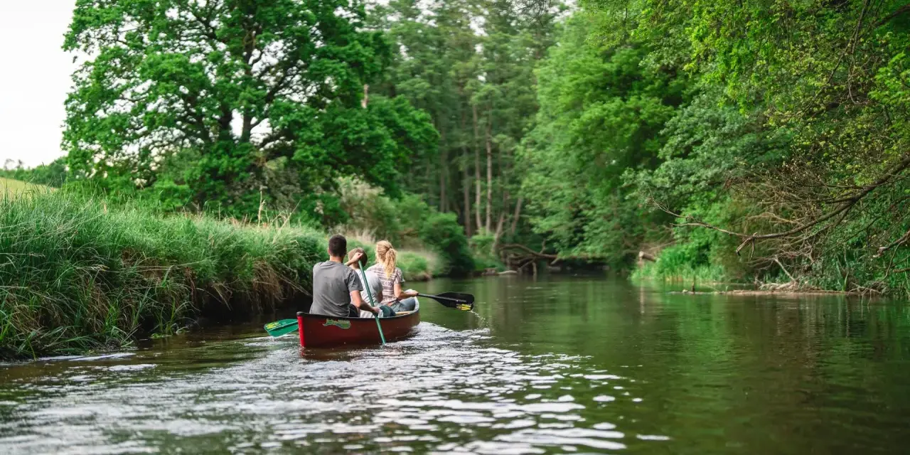 Ein Paar paddelt mit einem Kanu auf einem ruhigen Fluss durch üppige grüne Natur. Ein idyllischer Ausflug in Weitendorf.