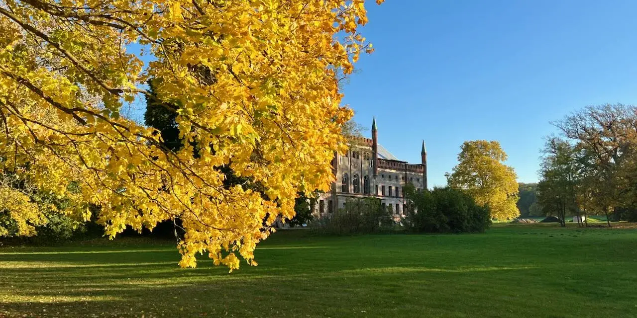 Herbstliche Farben umgeben das Schloss Broock. Ein Baum mit leuchtend gelben Blättern dominiert den Vordergrund, während im Hintergrund das imposante Gebäude vor blauem Himmel steht.