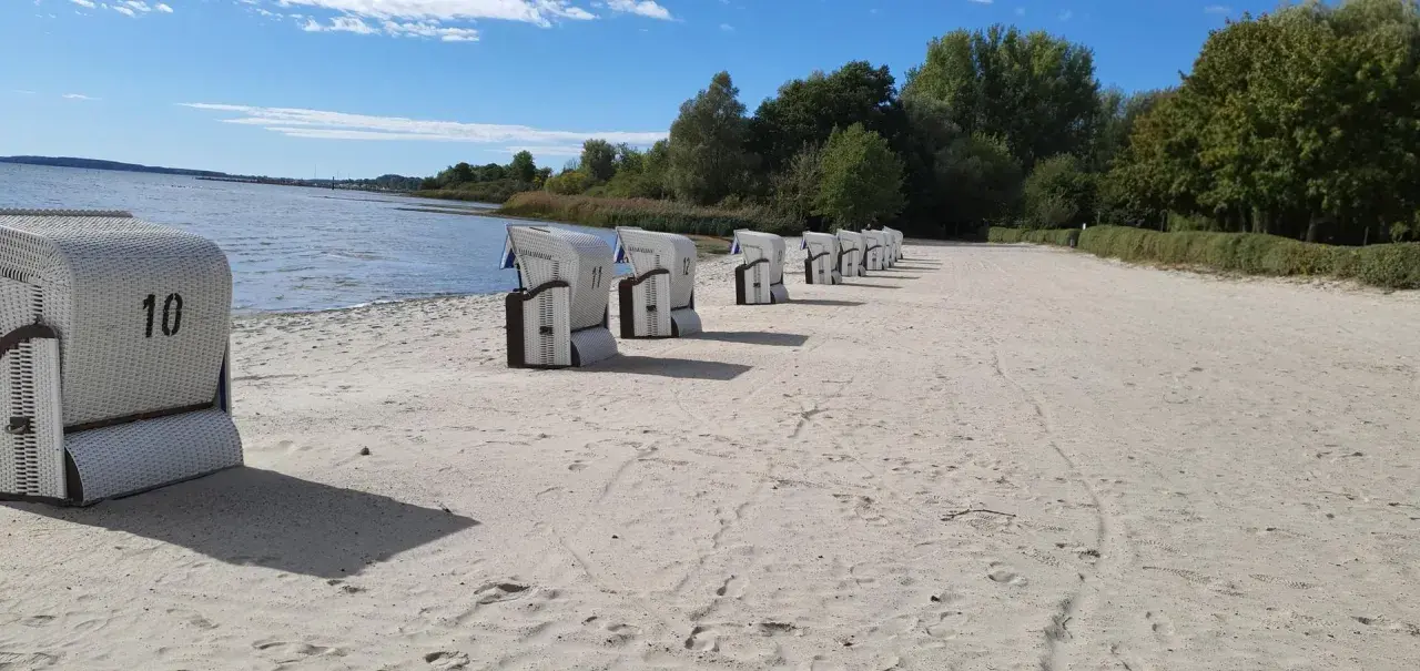 Reihe von Strandkörben am klink strand. Das Wasser glitzert im Hintergrund, Bäume säumen den Horizont.