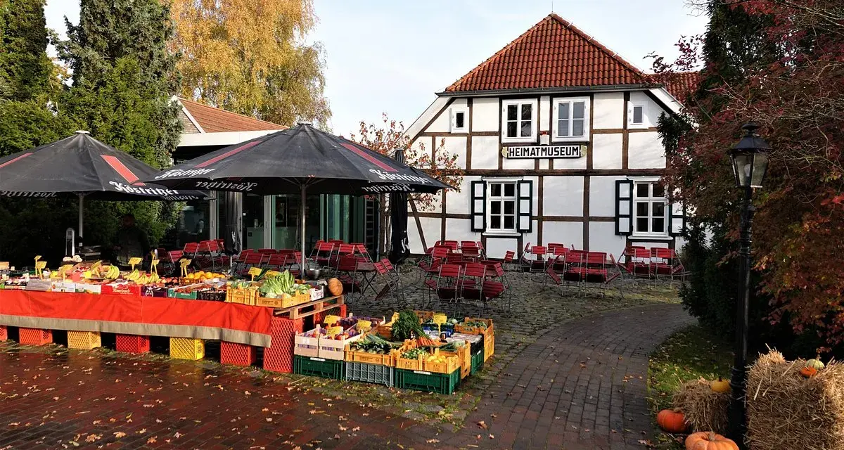 Herbstmarkt vor dem Heimatmuseum Zingst mit frischem Obst und Gemüse.