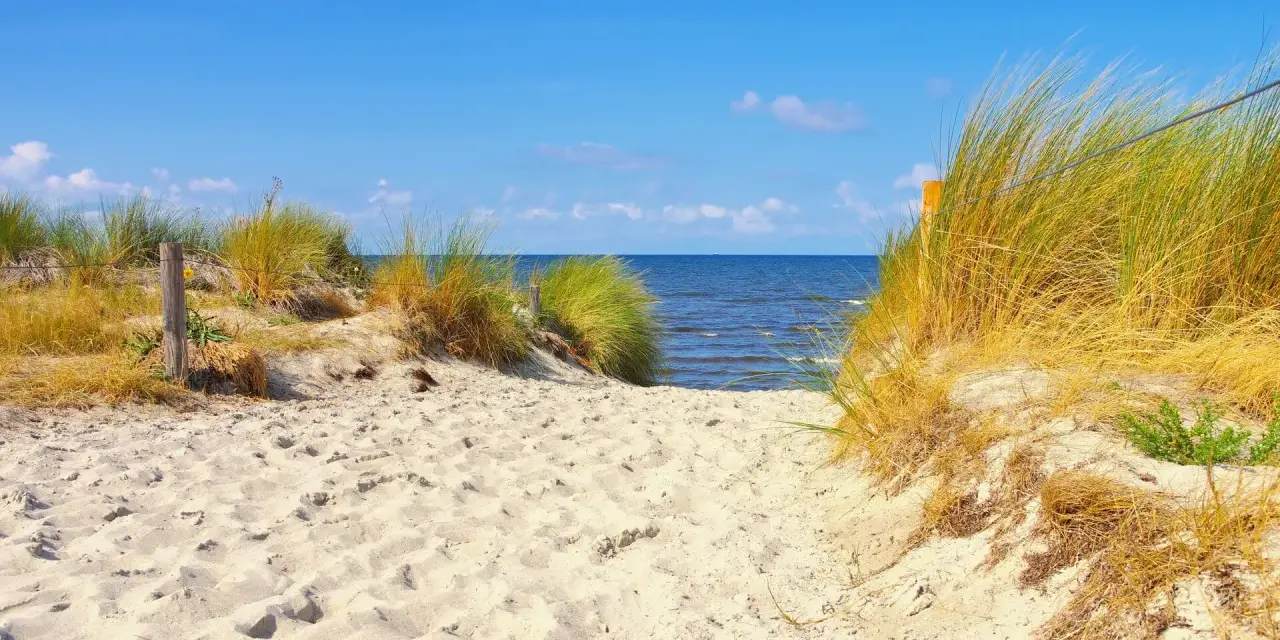 Sandiger Weg durch Dünen zum Strand auf der Insel Poel. Das Meer glitzert im blauen Himmel.