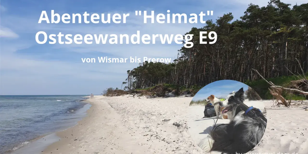 Zwei Hunde genießen den Ostseewanderweg E9 von Wismar bis Prerow. Ein Abenteuer an der Küste.