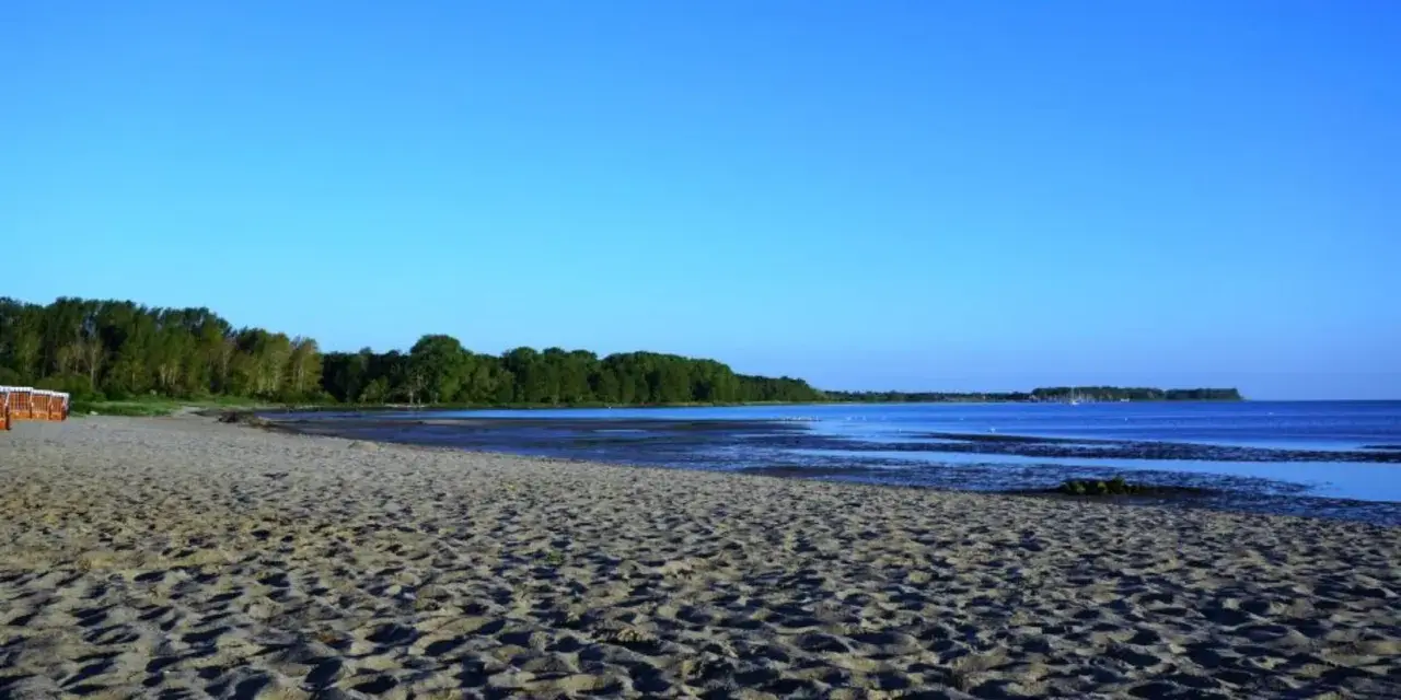 Sonniger Zierow Strand mit Sand, Bäumen und ruhigem Wasser unter blauem Himmel.