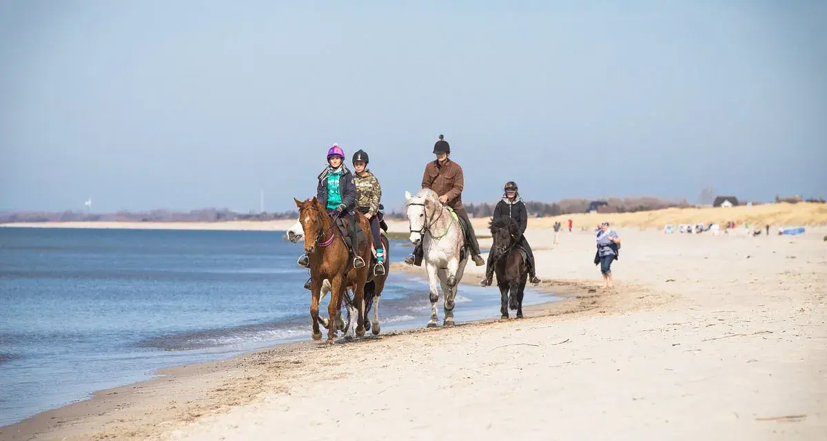 Vier Reiter genießen das Reiten an der Ostsee. Sie reiten am Strand entlang, das Meer glitzert im Hintergrund.