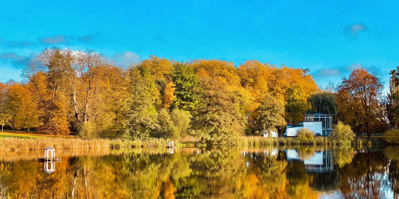 Herbstliche Farben im Schlosspark Putbus spiegeln sich im ruhigen Wasser. Ein kleiner Pavillon und ein modernes Gebäude säumen das Ufer.