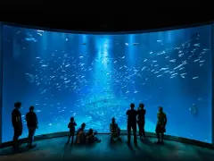 Menschen bestaunen ein riesiges Aquarium mit einem Schiffswrack und Fischschwärmen. Perfekte Ausflugsziele Ostsee bei schlechtem Wetter.