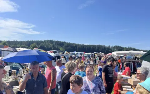 Buntes Treiben auf dem Flohmarkt Sellin. Menschen stöbern an Ständen unter blauem Himmel, im Hintergrund ein Wald.