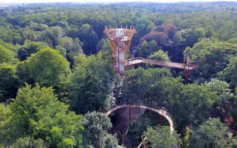 Ein Baumwipfelpfad schlängelt sich durch den Ivenacker Tiergarten. Ein futuristischer Aussichtsturm ragt aus dem dichten Grün.