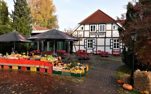 Herbstmarkt vor dem Heimatmuseum Zingst mit frischem Obst und Gemüse.