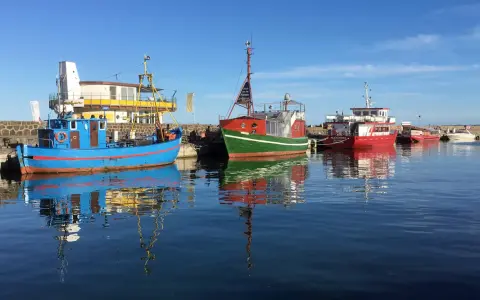 Boote im Hafen von Sassnitz Altstadt spiegeln sich im ruhigen Wasser.