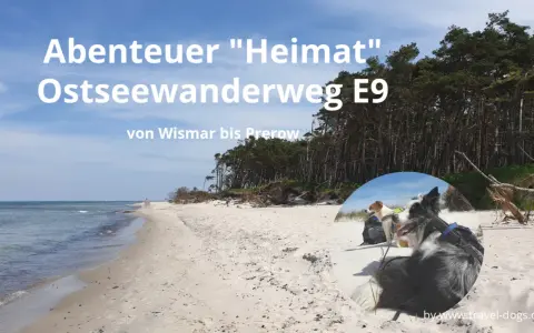 Zwei Hunde genießen den Ostseewanderweg E9 von Wismar bis Prerow. Ein Abenteuer an der Küste.