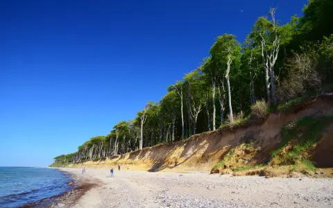 Der Strand Nienhagen mit seiner beeindruckenden Steilküste und dem dichten Buchenwald. Ein paar Spaziergänger genießen die klare Luft.