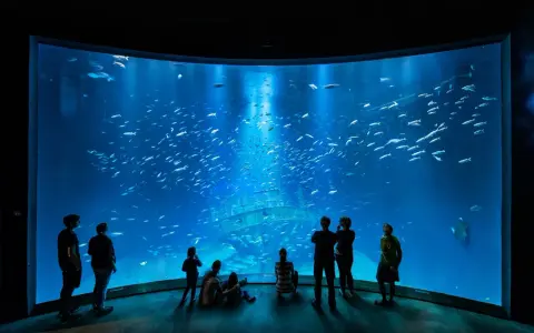 Menschen bestaunen ein riesiges Aquarium mit einem Schiffswrack und Fischschwärmen. Perfekte Ausflugsziele Ostsee bei schlechtem Wetter.