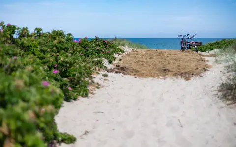 Sandiger Weg zum Dierhagen Strand, gesäumt von Rosenbüschen. Zwei Fahrräder warten am Meer.