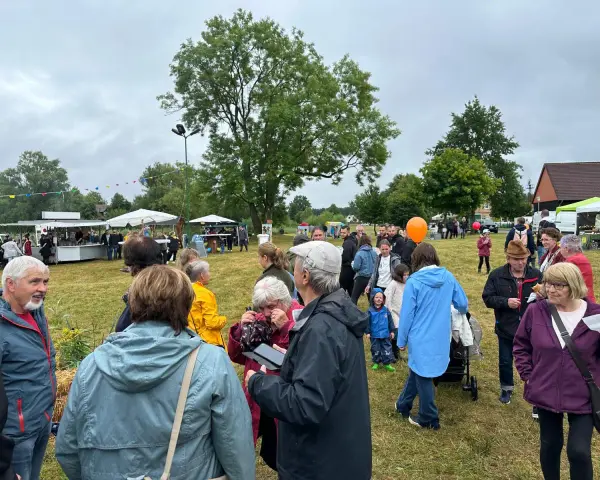 Menschen genießen das inselfest Mirow bei bewölktem Himmel. Stände und Bäume säumen die grüne Wiese.
