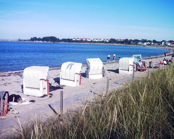 Strandkörbe am Ostseestrand, im Hintergrund der glowe hafen mit Häusern und Bäumen.