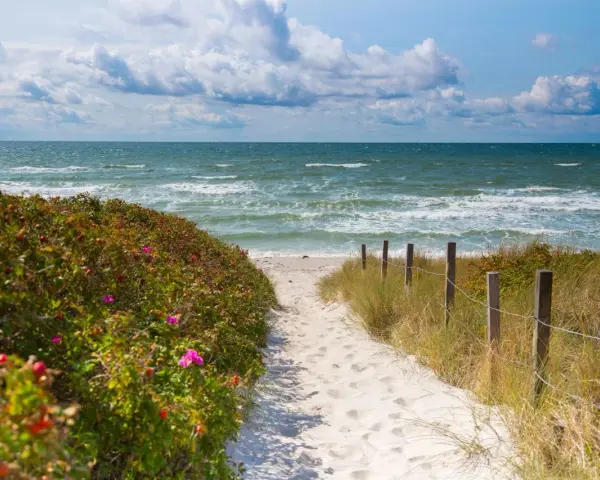 Sandiger Pfad zum **Grambin Strand**, gesäumt von Rosenbüschen und Dünen. Das Meer rauscht, Wolken ziehen am Himmel.