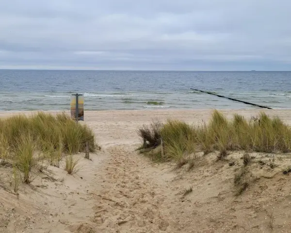 Pfad durch Dünen zum Strand Bansin. Das Meer ist ruhig, der Himmel bedeckt.