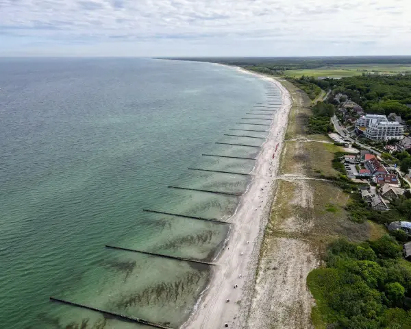 Luftaufnahme des Ahrenshoop Strandes mit Wellenbrechern, Sand und Bäumen. Ein Segelboot ist auf dem Meer zu sehen.