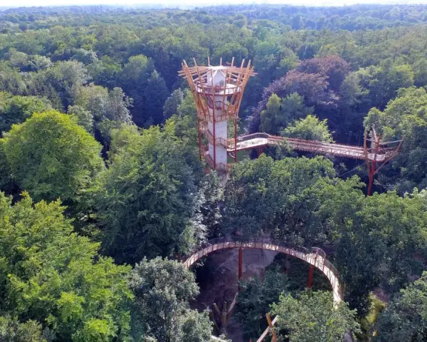 Ein Baumwipfelpfad schlängelt sich durch den Ivenacker Tiergarten. Ein futuristischer Aussichtsturm ragt aus dem dichten Grün.