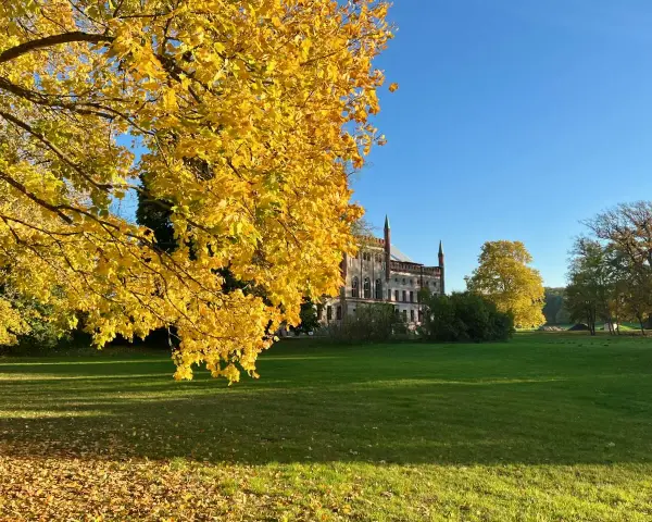 Herbstliche Farben umgeben das Schloss Broock. Ein Baum mit leuchtend gelben Blättern dominiert den Vordergrund, während im Hintergrund das imposante Gebäude vor blauem Himmel steht.