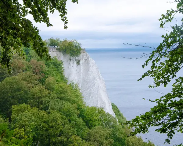Grüne Wälder umgeben die weißen Kreidefelsen an der Ostsee. Ein perfekter Ort zum Wandern in MV.