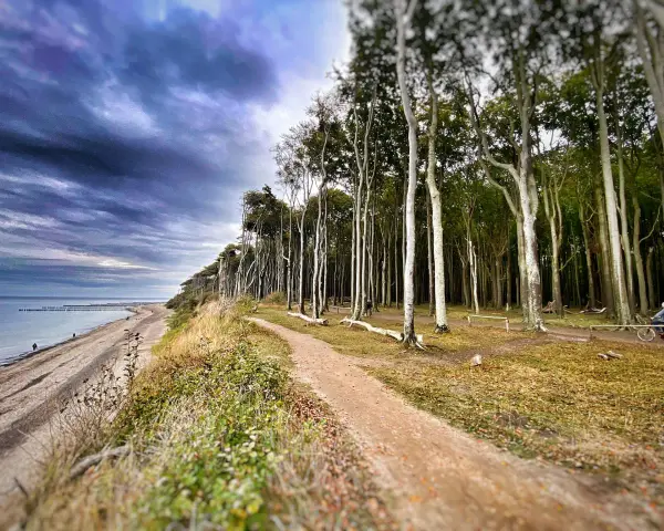 Ein Radfahrer genießt die Nienhagen Promenade entlang des Strandes und des Buchenwaldes.