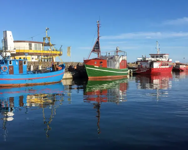 Boote im Hafen von Sassnitz Altstadt spiegeln sich im ruhigen Wasser.