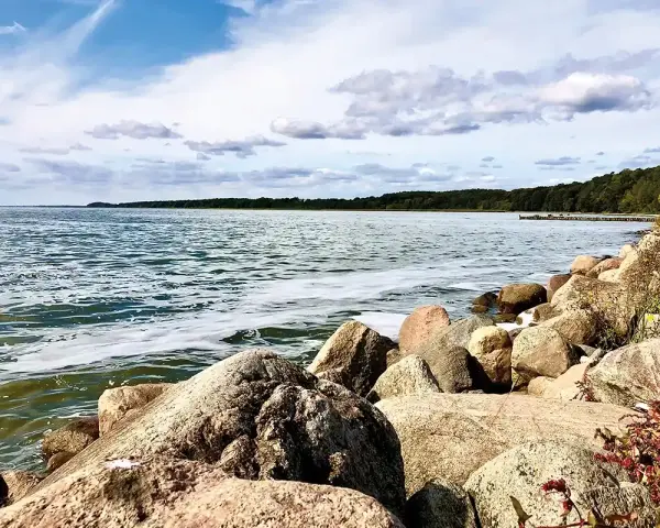 Felsen am kamminke strand mit Blick auf das ruhige Wasser und den grünen Wald am Horizont unter einem bewölkten Himmel.