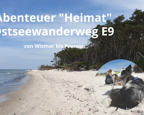Zwei Hunde genießen den Ostseewanderweg E9 von Wismar bis Prerow. Ein Abenteuer an der Küste.