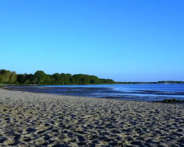 Sonniger Zierow Strand mit Sand, Bäumen und ruhigem Wasser unter blauem Himmel.