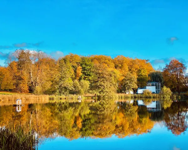 Herbstliche Farben im Schlosspark Putbus spiegeln sich im ruhigen Wasser. Ein kleiner Pavillon und ein modernes Gebäude säumen das Ufer.
