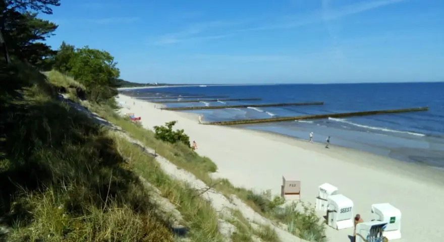 Sonniger Strand Zempin mit Dünen, Wellenbrechern und Strandkörben.